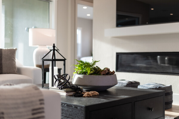 livingroom-staged-coffeetable