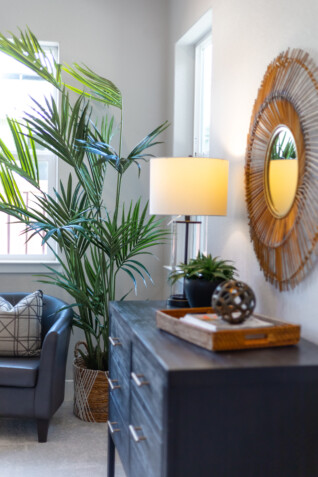 bedroom-staged-large-plant