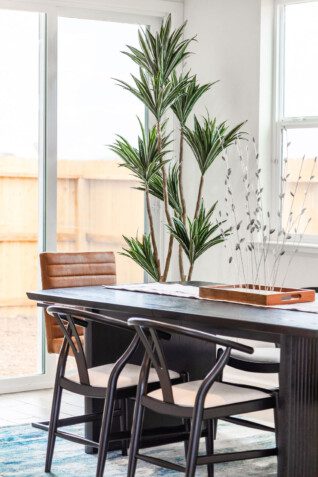 black-table-chairs-faux-plant