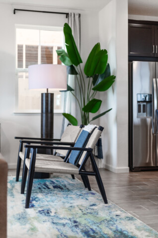 blue-green-rug-chairs